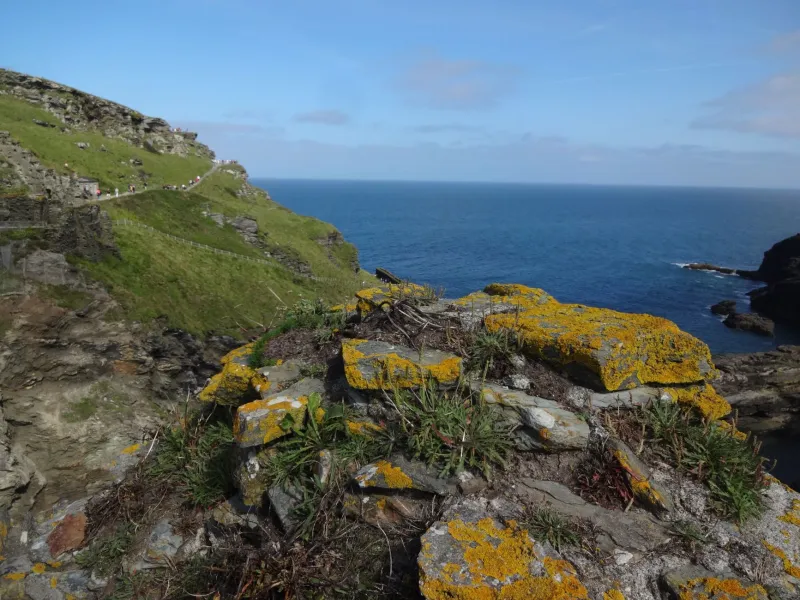 Three Days, One Village: Why Polzeath Is the Micro-Break Britain Didn't Know It Needed